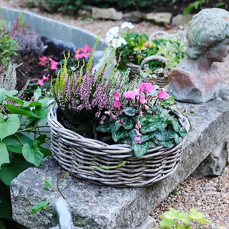 Maison Du 7 Nocleg ze śniadaniem *