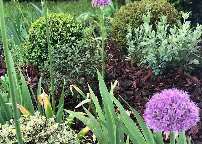 Frühstückspension Maison Du 7